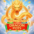 Dragon Pots
